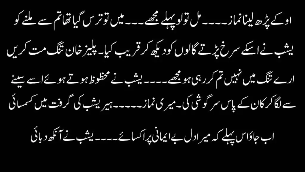 Urdu novel 2025